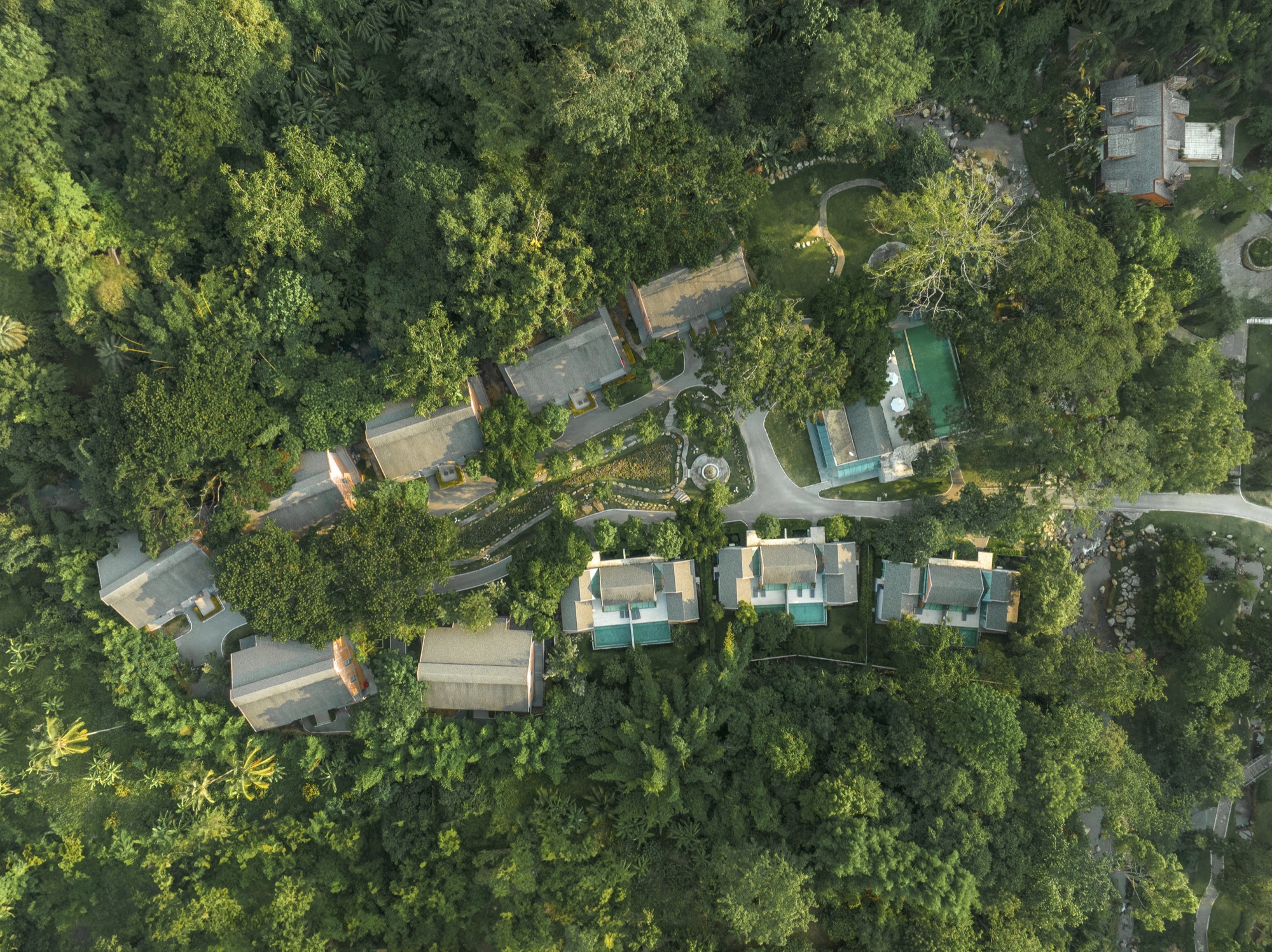 Aerial view of Flora Creek Chiang Mai among forested hills