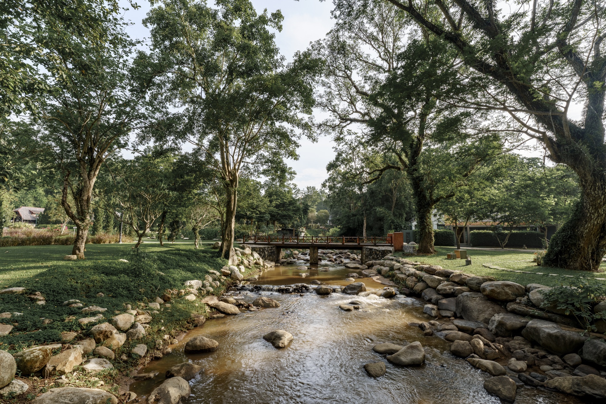 Garden stream at Flora Creek Chiang Mai