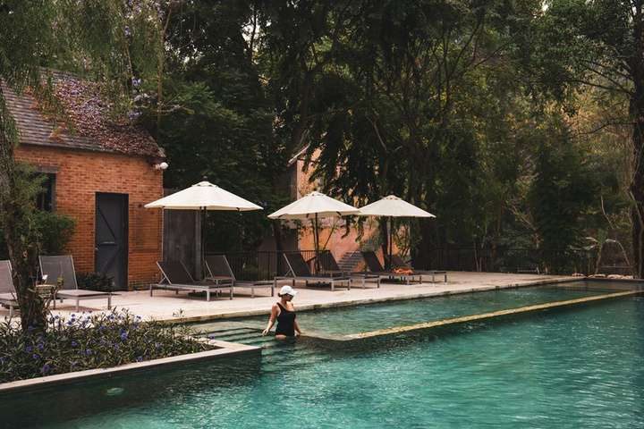Swimming pool surrounded by trees at Flora Creek Chiang Mai